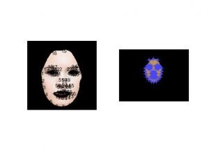 شبیه سازی ایجاد آرایش دیجیتالی صورت با متلب