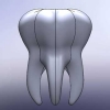 طراحی و مدلسازی دندان با سالیدورک