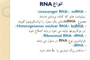 دانلود پاورپوینت RNA و Transcription (رونویسی)